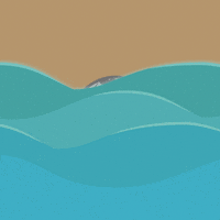 Coin Finds GIF