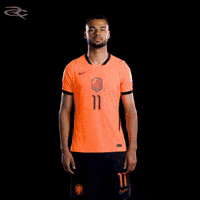 Fifa World Cup Uefa GIF by Respective