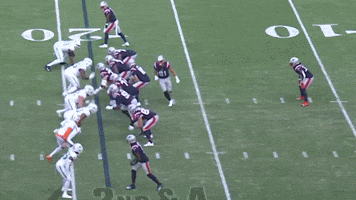Nfl Football GIF by New England Patriots