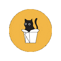 catniptakeout cats kitty playful kittens Sticker
