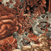 reinbijlsma trippy weird nft alien GIF