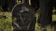 season 8 ifc GIF by Portlandia