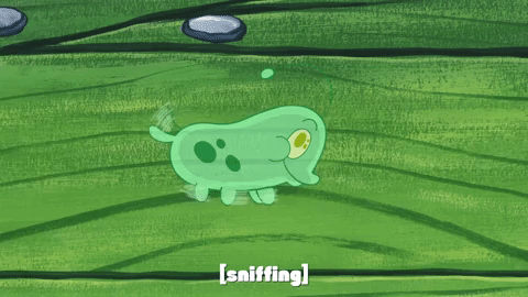 season 9 safe deposit krabs GIF by SpongeBob SquarePants