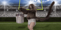 super bowl 2016 GIF by Mountain Dew