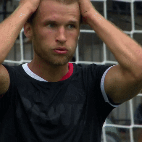 1 Fc Cologne Football GIF by 1. FC Köln