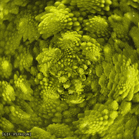 Food Grow GIF by Psyklon