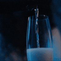 Sparkling Wine Brinde GIF by Família Salton