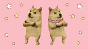 Doge Dance GIF by DogeGF