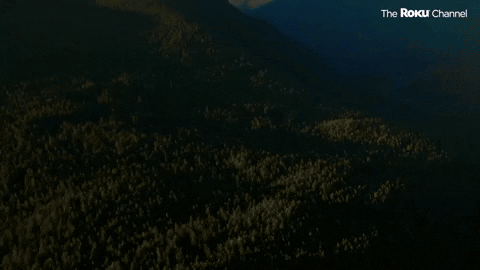 104 GIF by The Roku Channel