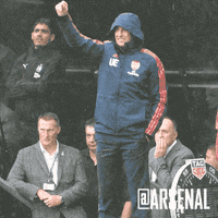 arsenal football soccer celebration passion GIF