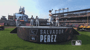 Major League Baseball Hug GIF by MLB