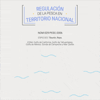 nom GIF by BNN México