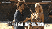 de martino isola13 GIF by Isola dei Famosi