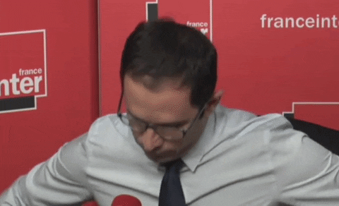 benoit hamon wtf GIF by franceinfo