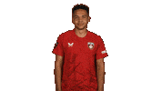 Fc Kaiserslautern Yawn Sticker by Bundesliga