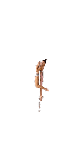 Poledanceacademypraha poledance pda poledancer poledanceacademy Sticker
