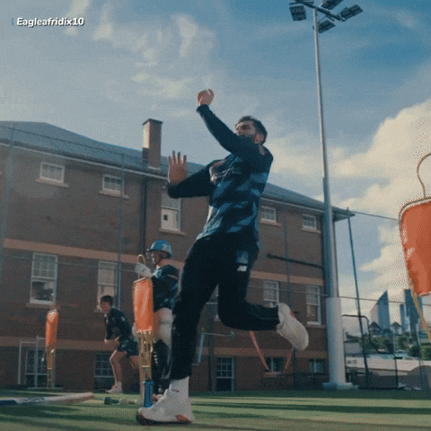 Brisbane Heat King GIF