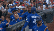 Blue Jays Baseball GIF by Toronto Blue Jays