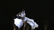 fox dancing GIF by So You Think You Can Dance