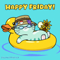Its Friday Celebration GIF by Silly Kitties