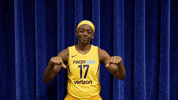 basketball sport GIF by Indiana Fever