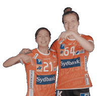 Orange Handball Sticker by Odense Håndbold