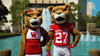 houstoncougars houston sasha gocoogs shasta GIF