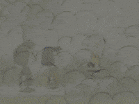 charlie brown GIF by Peanuts