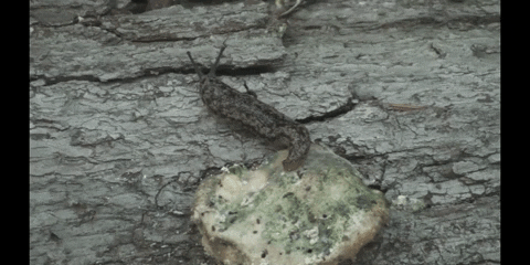 Tired Climate Change GIF by DIIMSA Stock