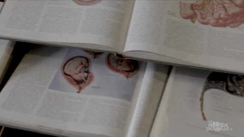 Art Animation GIF by Alex Boya