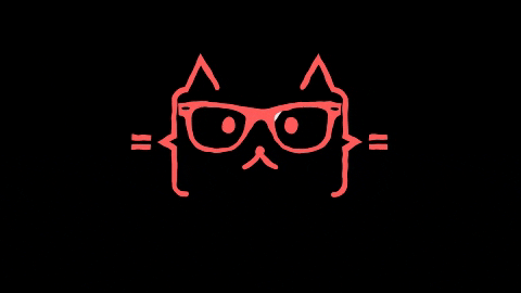 cool cat GIF by English For IT