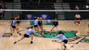 athletics volleyball GIF by GreenWave