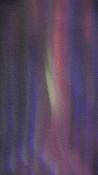 Fine Art GIF by Mollie_serena