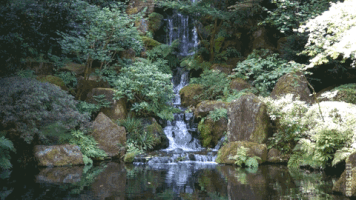 waterfall GIF