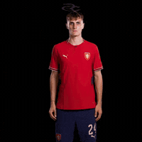 Fifa World Cup Uefa GIF by Respective