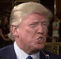 donald trump face GIF