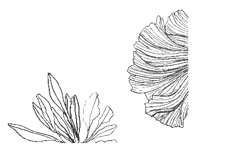 loopbody giphyupload activewear in the loop loop activewear Sticker