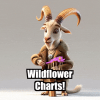 GIF by Radiantelope