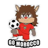 World Cup Football Sticker