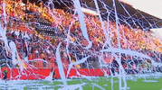Alajuelense GIF by TD Más