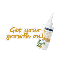Refresh Delight Sticker by Olival Cosmetics