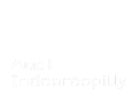 AutosportsGroup asg autosports group indooroopilly audi indooroopilly Sticker