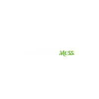 Landscape Moss Sticker by Dikey  Yosun