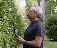 work yard GIF