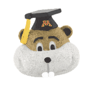 CLAcar graduation uofm umn umnproud Sticker