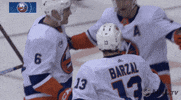 ice hockey GIF by NHL