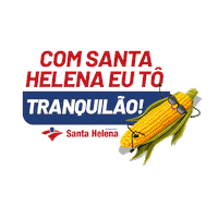 Shs Numa Boa Sticker by Santa Helena Sementes