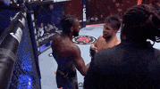 Aljamain Sterling Sport GIF by UFC