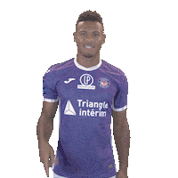 Stadium Kelvin Sticker by Toulouse Football Club