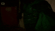 season 2 GIF by ScreamQueens